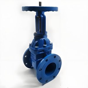 手動閘閥Z41T-16 DN50/DN65廠家直銷，上海發