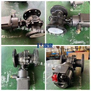 DN80電動球閥WCB材質16公斤